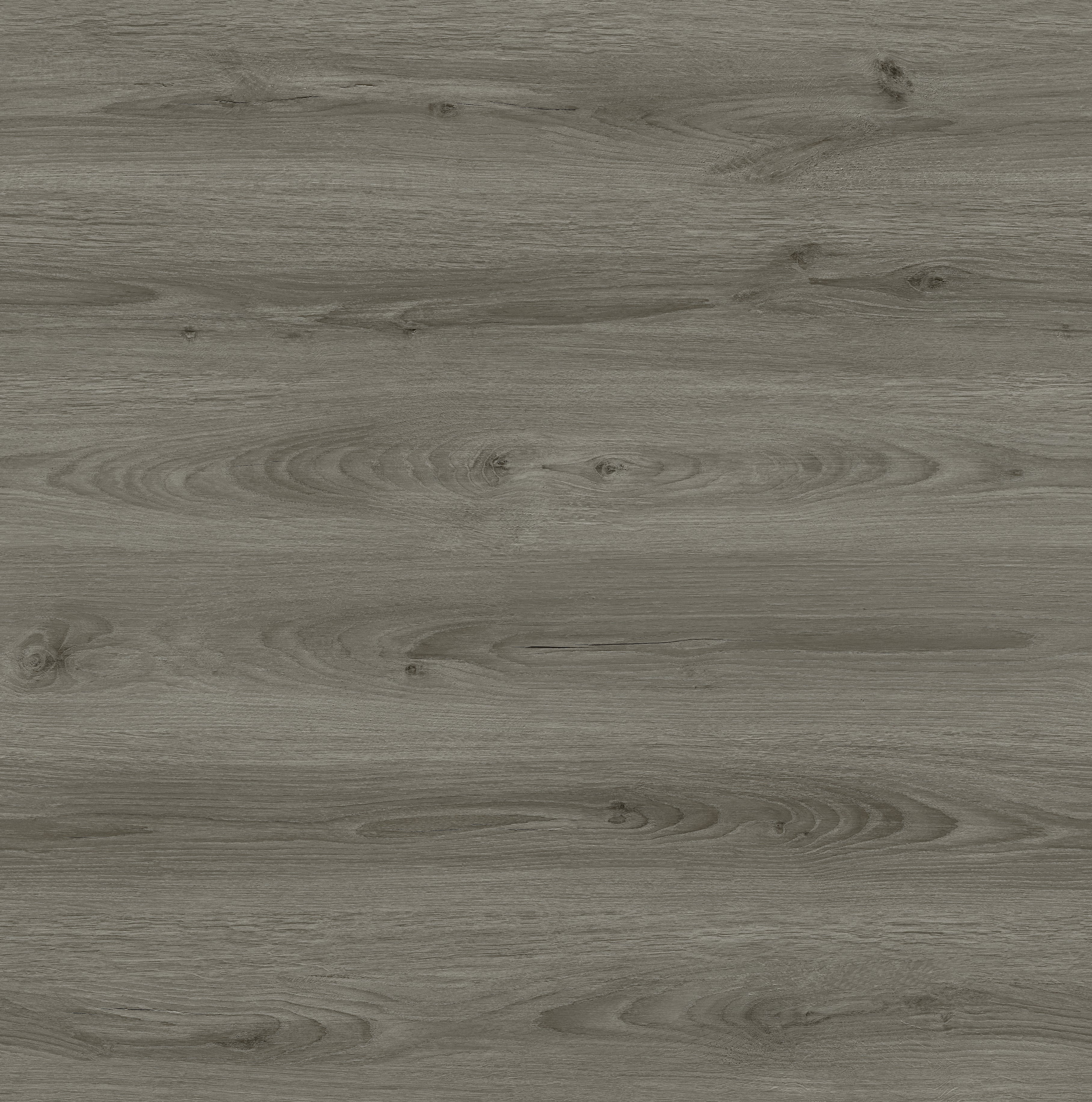 Ash Grey 7.67" Laminate REMI7070 Laminate - Wood Max Malta Island Collection