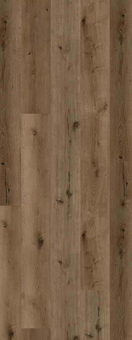 Bear Oak Rigid Core REWVE4104 Waterproof Rigid Core - The Woodland Oak Collection