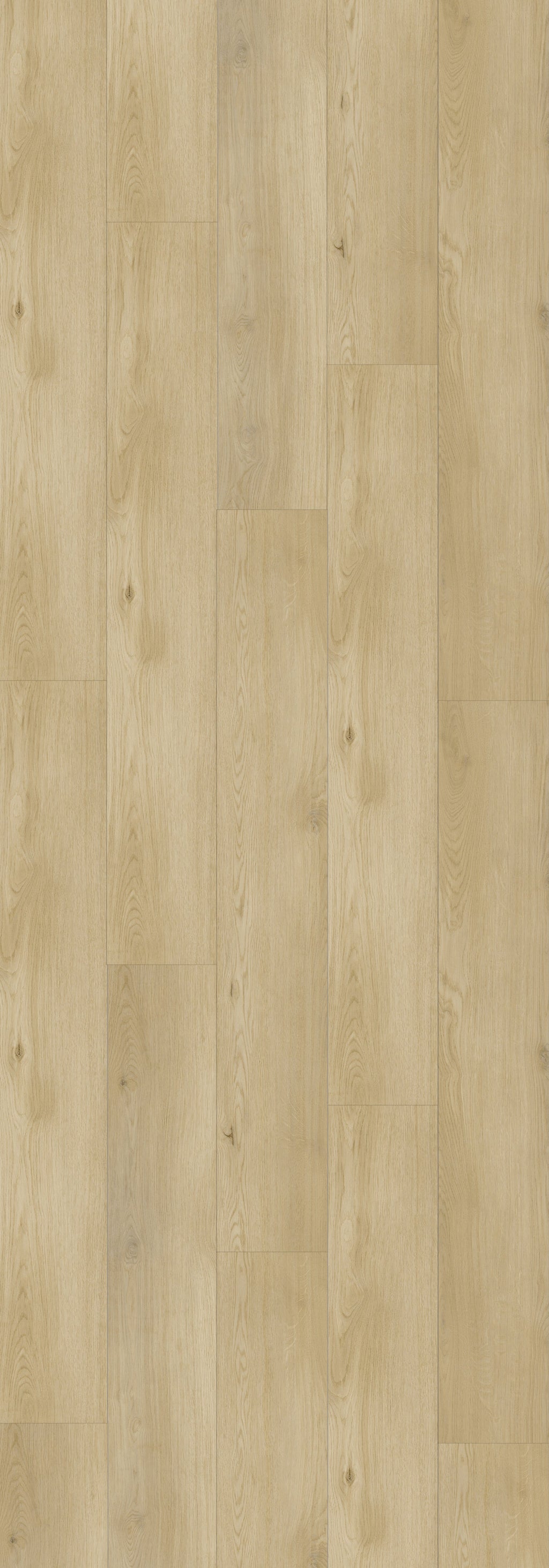 Boggs Rigid Core REED2002 Waterproof Rigid Core - Sierra Collection