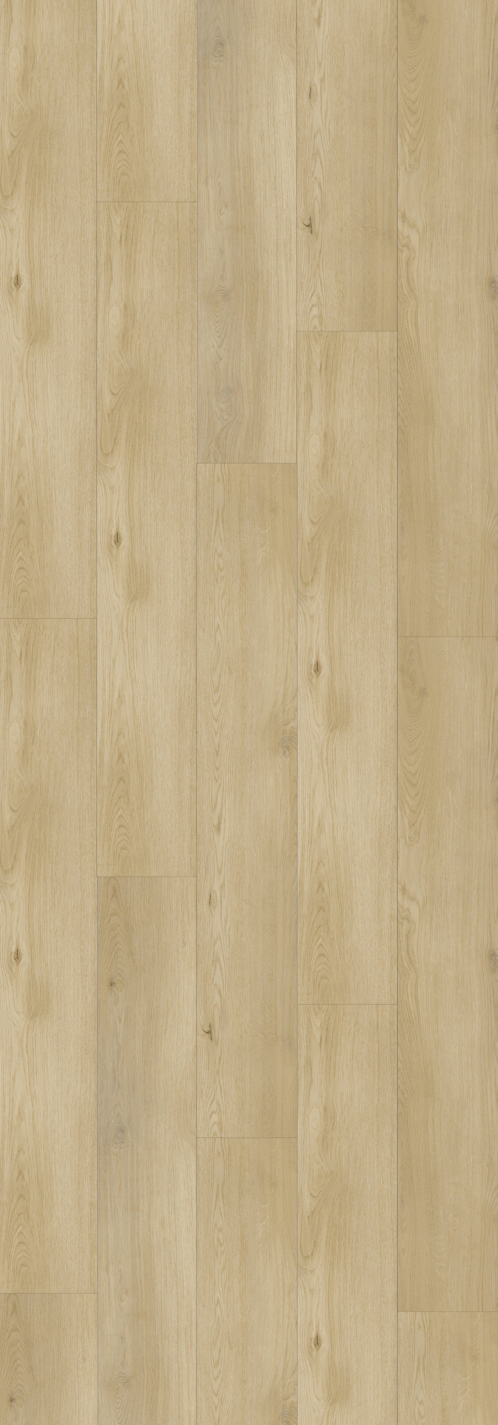 Boggs Rigid Core REED2002 Waterproof Rigid Core - Sierra Collection