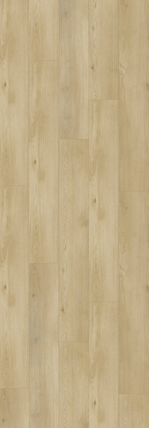 Boggs Rigid Core REED2002 Waterproof Rigid Core - Sierra Collection