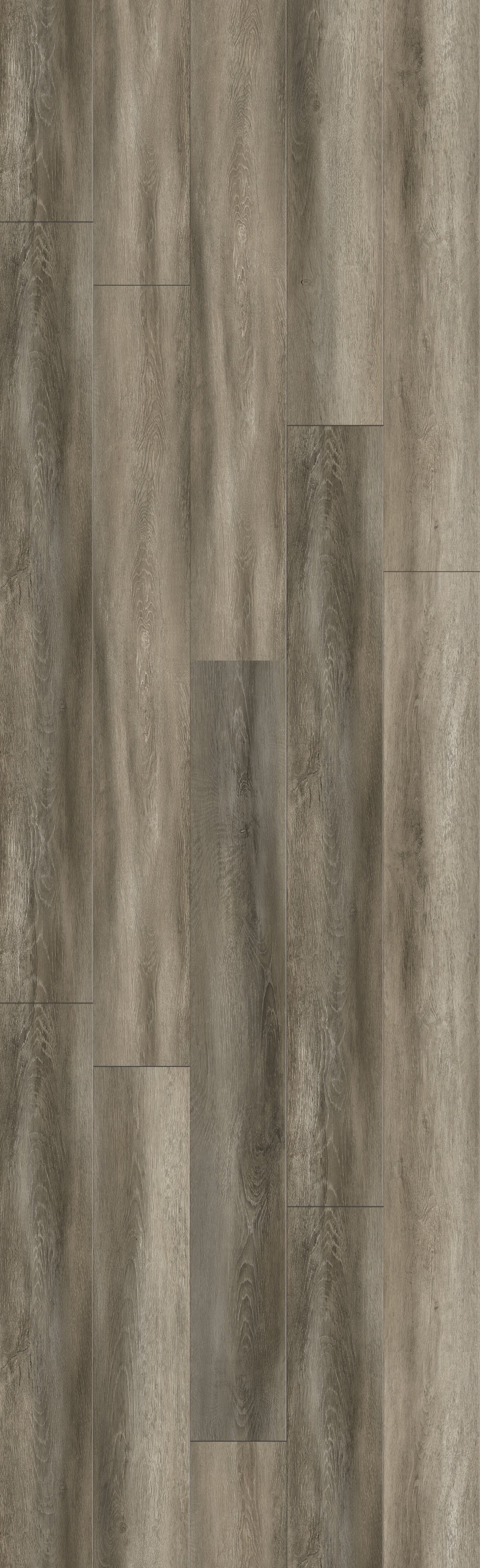 Burberry Light 60" Rigid Core RELM8108 Waterproof Rigid Core - The Meadows Collection