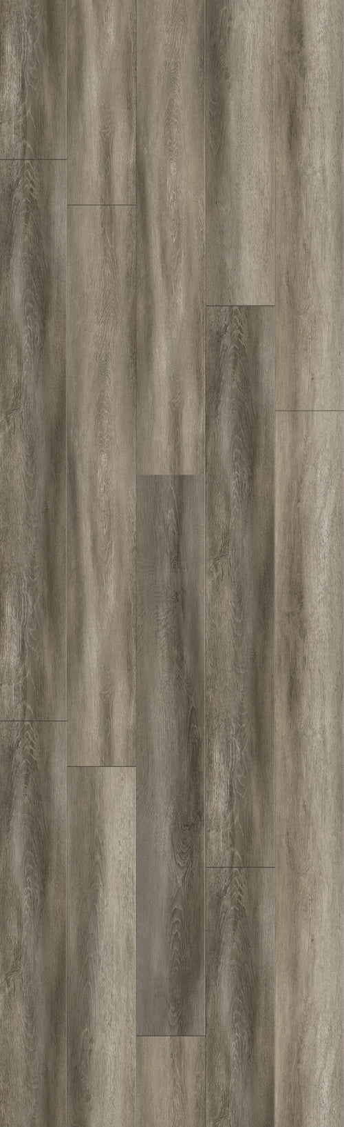 Burberry Light 60" Rigid Core RELM8108 Waterproof Rigid Core - The Meadows Collection