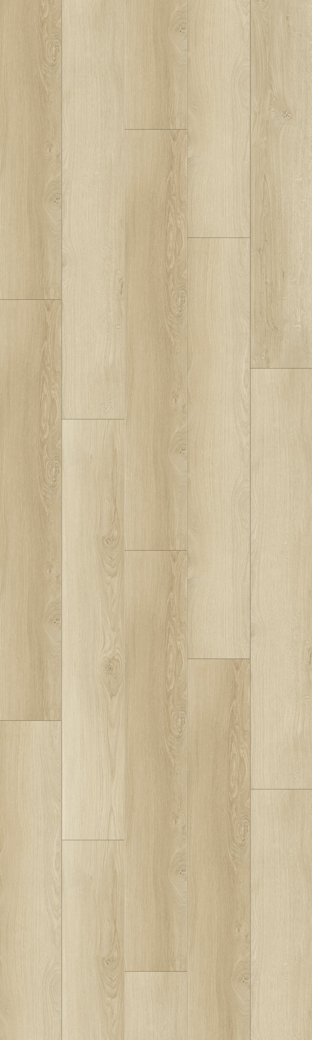 Canadian Sage Rigid Core REAW8403 Waterproof Rigid Core - Angel Woods Collection