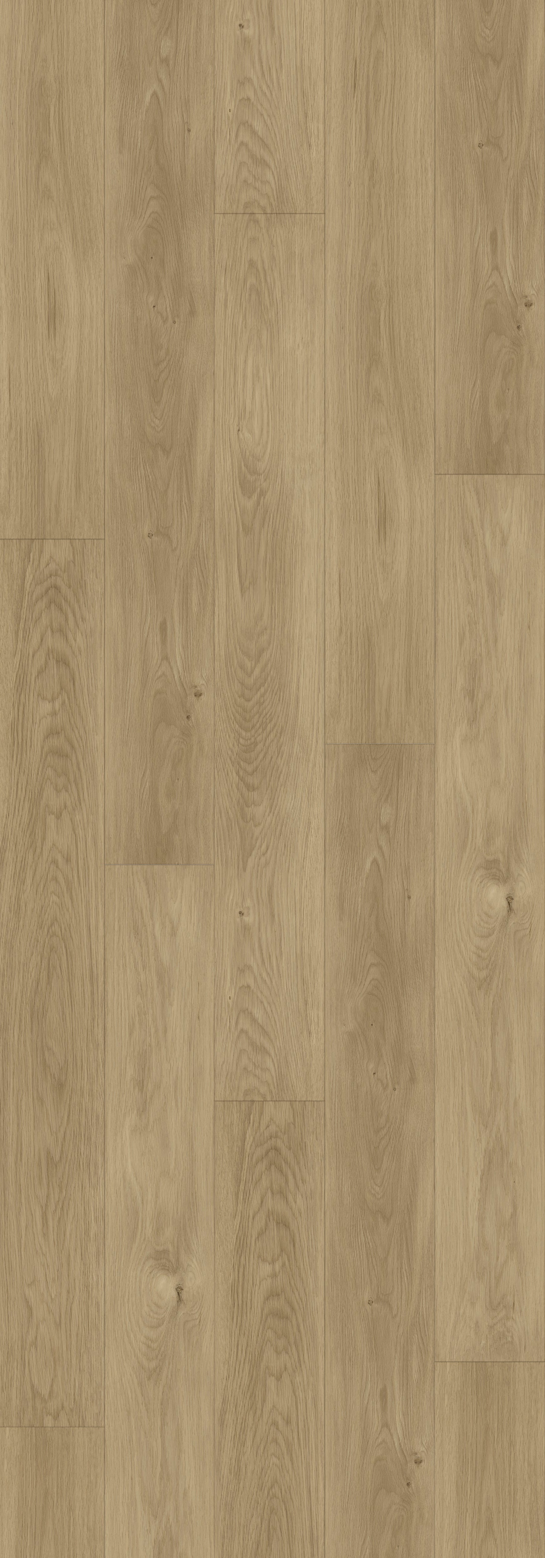Desert Taupe Rigid Core RENW7001 Waterproof Rigid Core - North Wather Collection