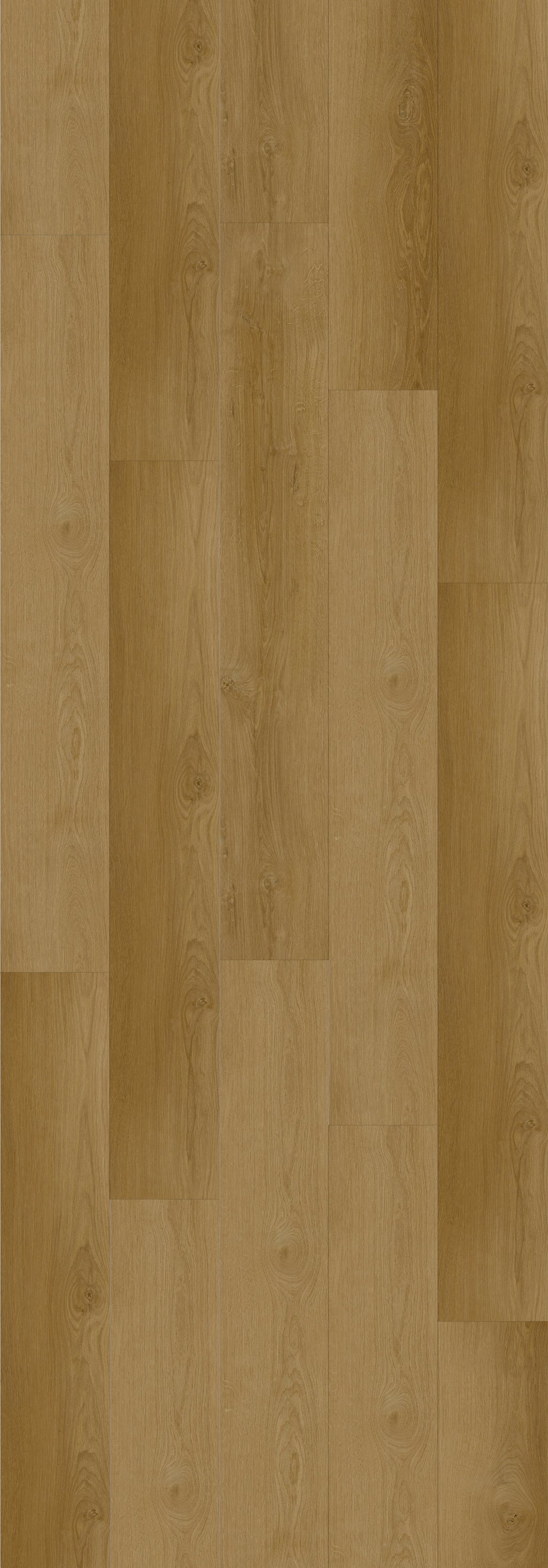 Ellen Rigid Core REED2003 Waterproof Rigid Core - Sierra Collection