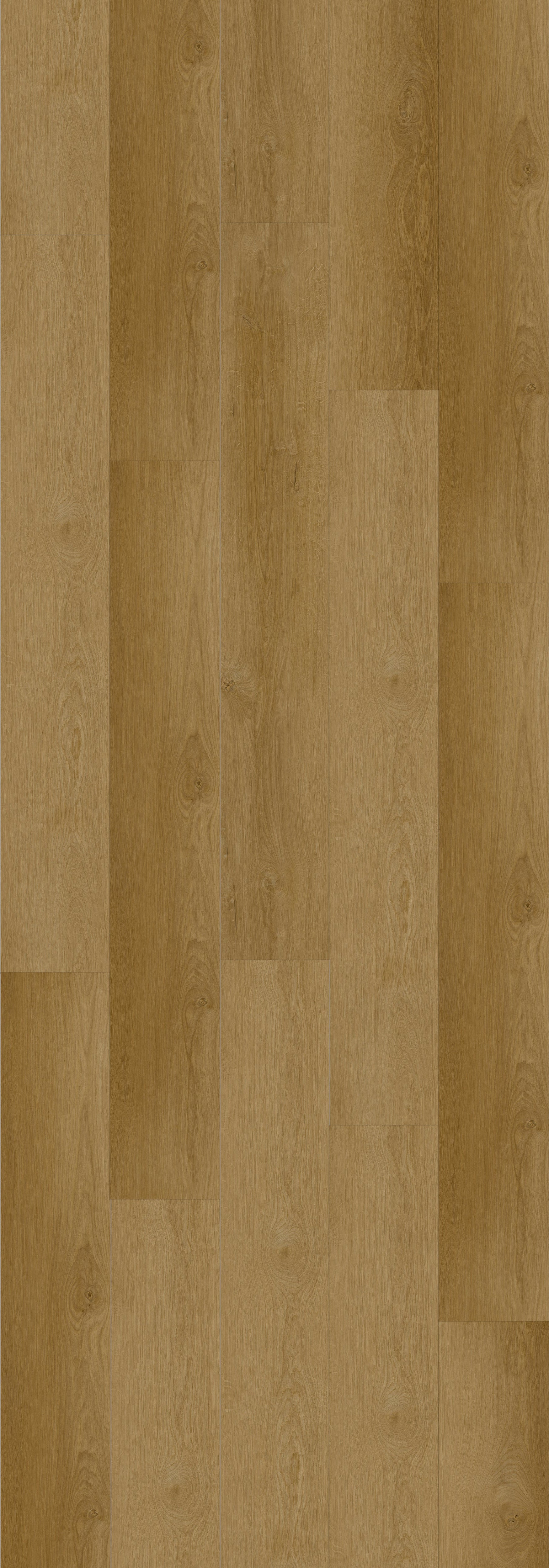 Ellen Rigid Core REED2003 Waterproof Rigid Core - Sierra Collection