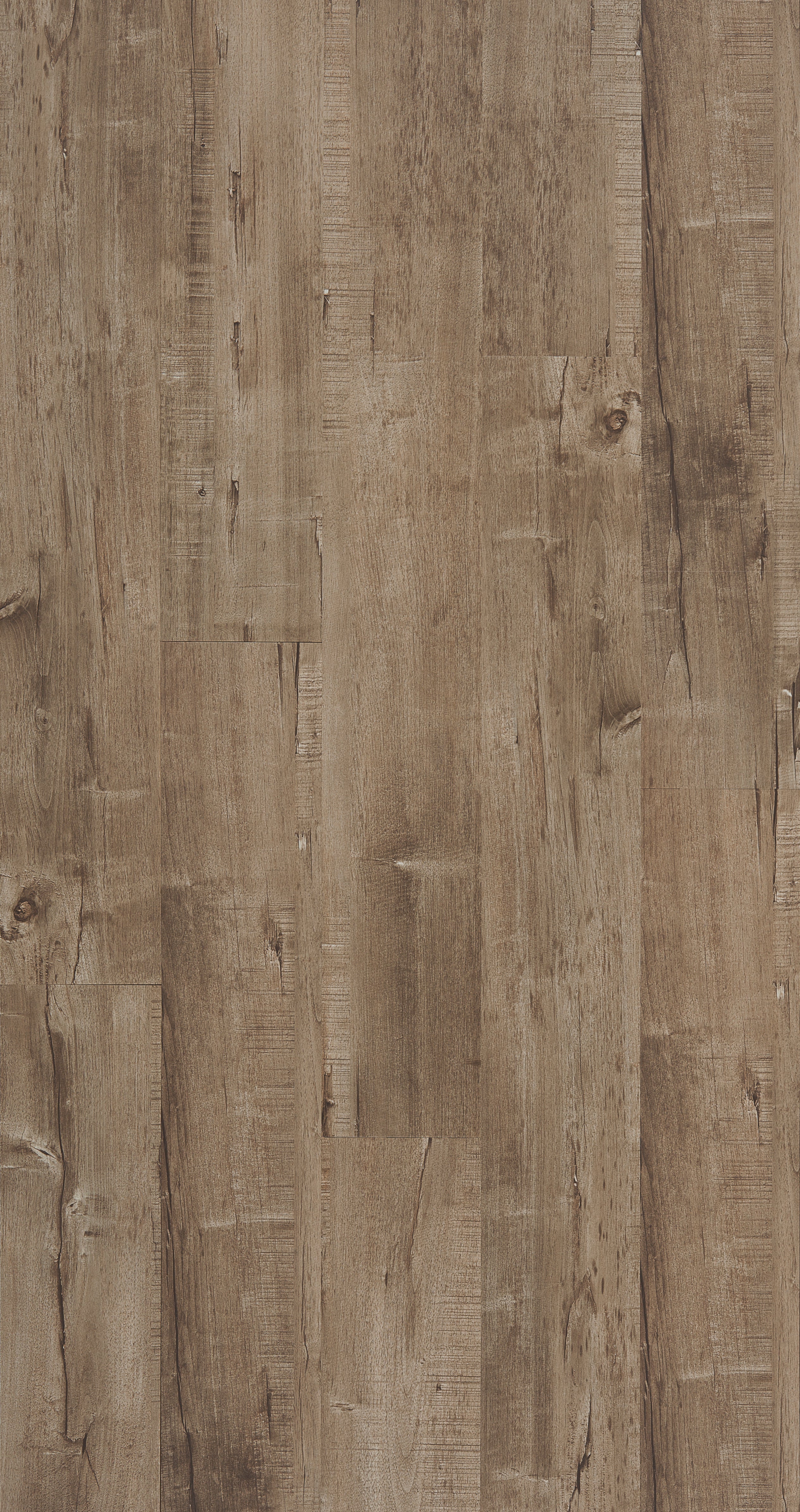 Latte Laminate REET-76 Laminate - Fortress Collection