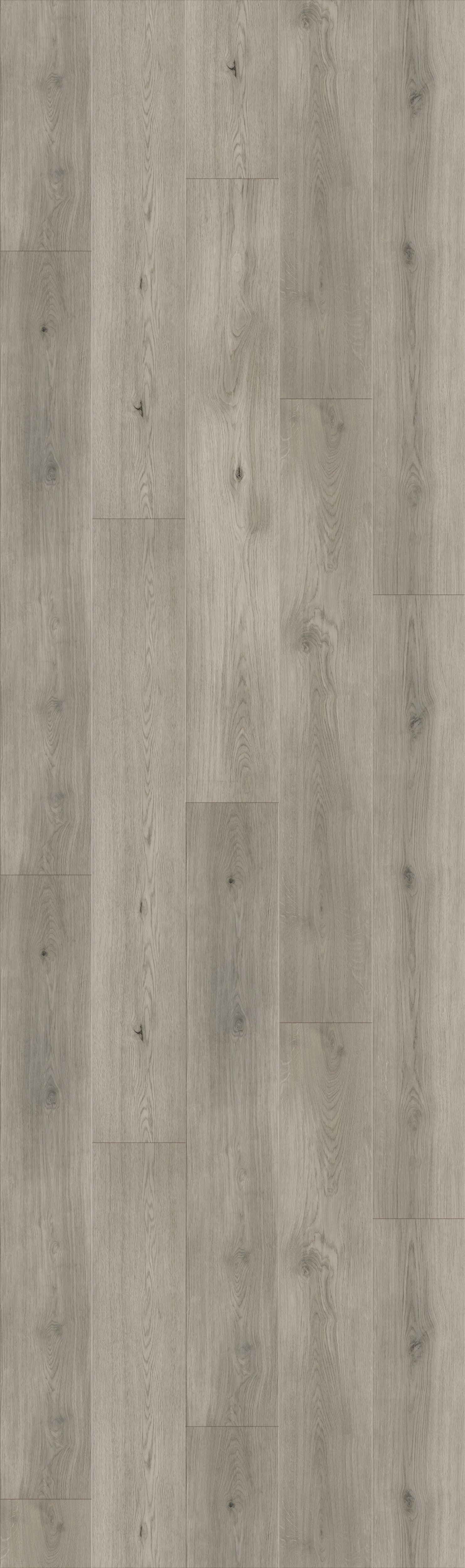 Georgia Gray Rigid Core REWR8608 Waterproof Rigid Core - White River Collection