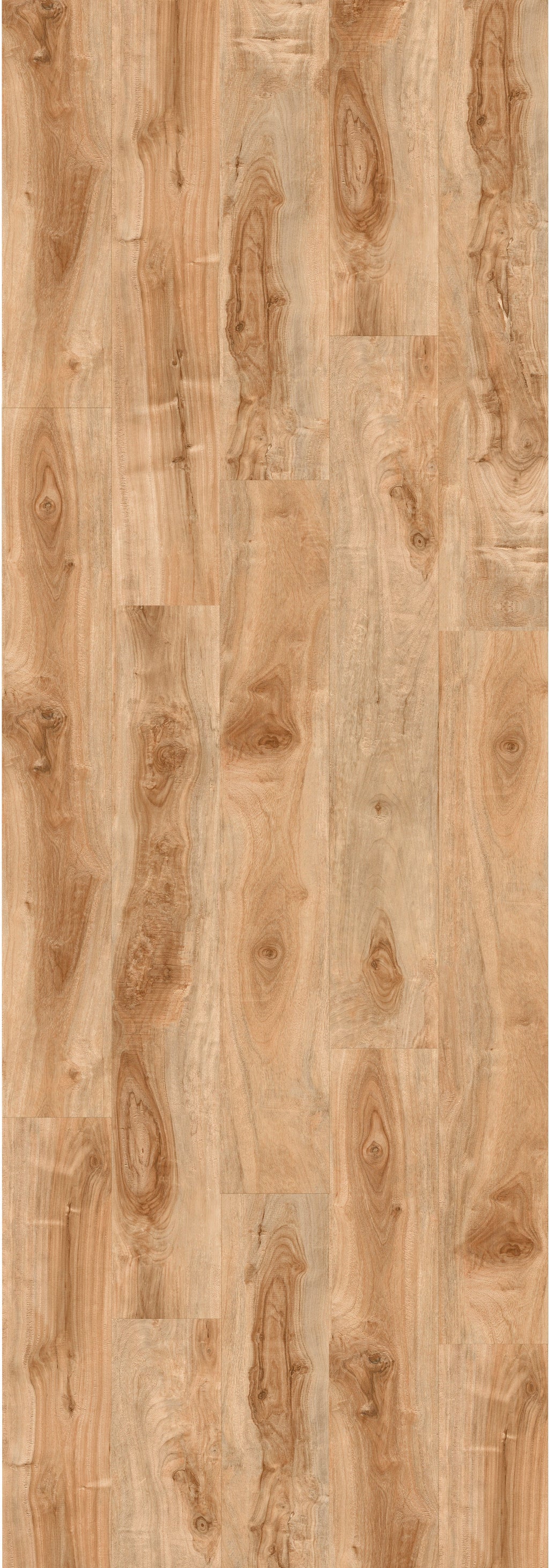 Golden Apple Laminate REGA220-WP Laminate - Wood Max Platinum Collection