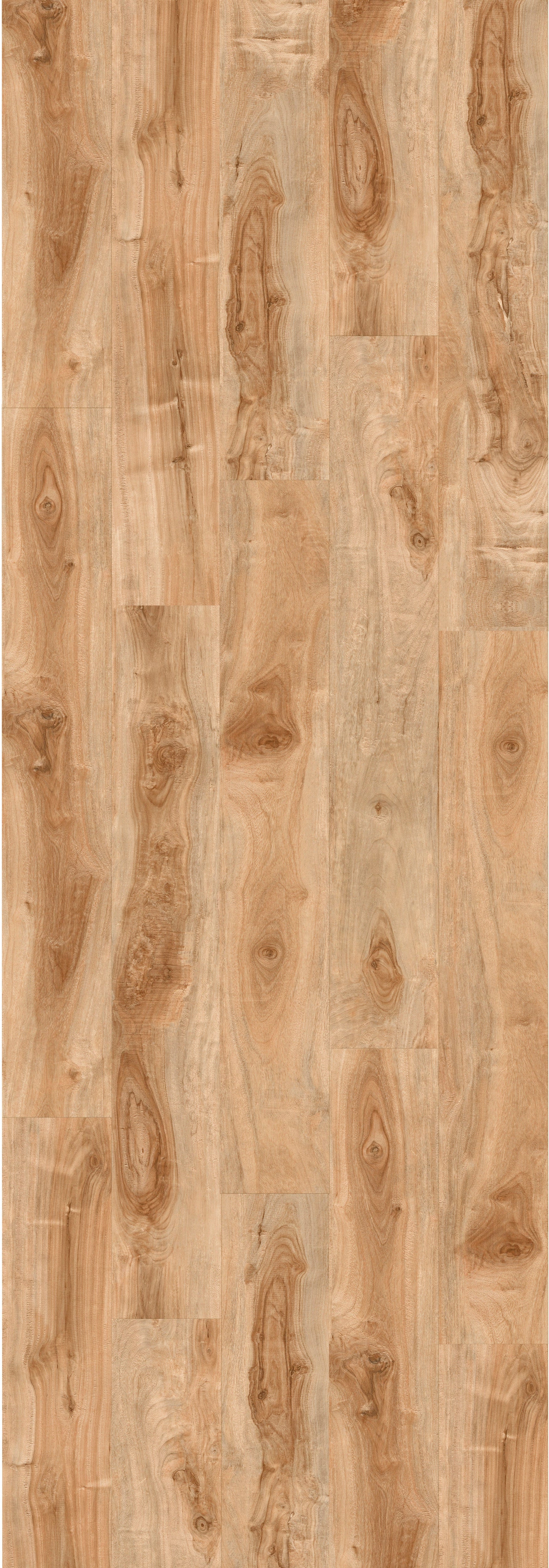 Golden Apple Laminate REGA220-WP Laminate - Wood Max Platinum Collection
