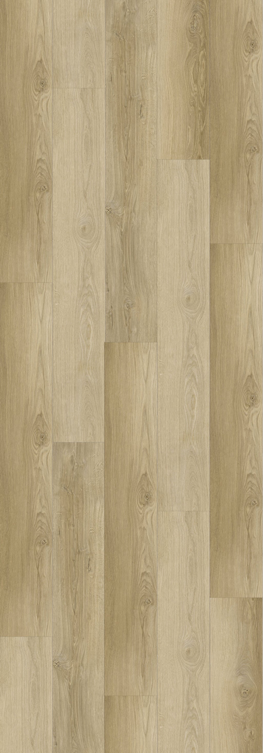 Isabel Rigid Core REED2001 Waterproof Rigid Core - Sierra Collection
