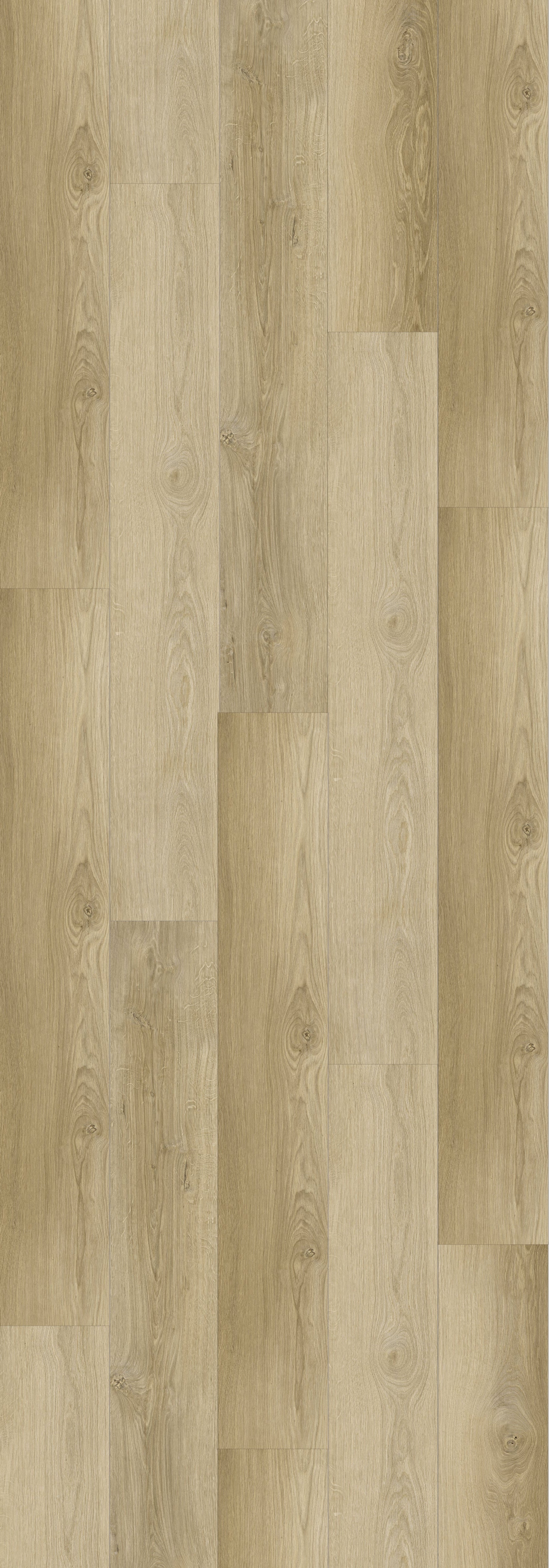 Isabel Rigid Core REED2001 Waterproof Rigid Core - Sierra Collection
