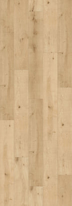 New Gold 7.67" Laminate REMI7110 Laminate - Wood Max Malta Island Collection