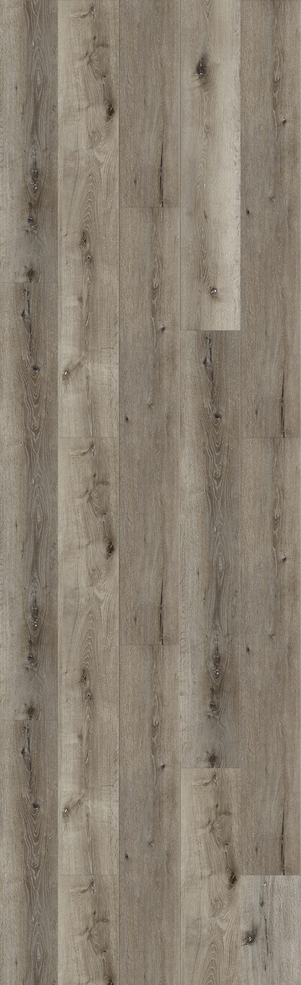Oasis Grey 60" Rigid Core RELM8105 Waterproof Rigid Core - The Meadows Collection