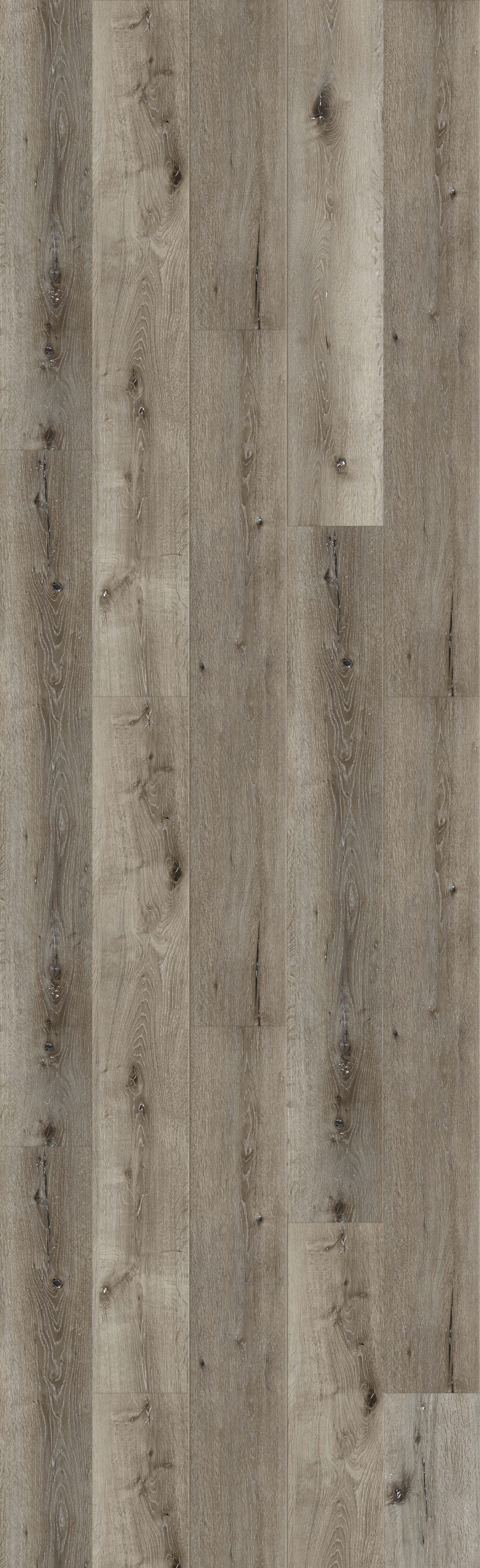 Oasis Grey 60" Rigid Core RELM8105 Waterproof Rigid Core - The Meadows Collection