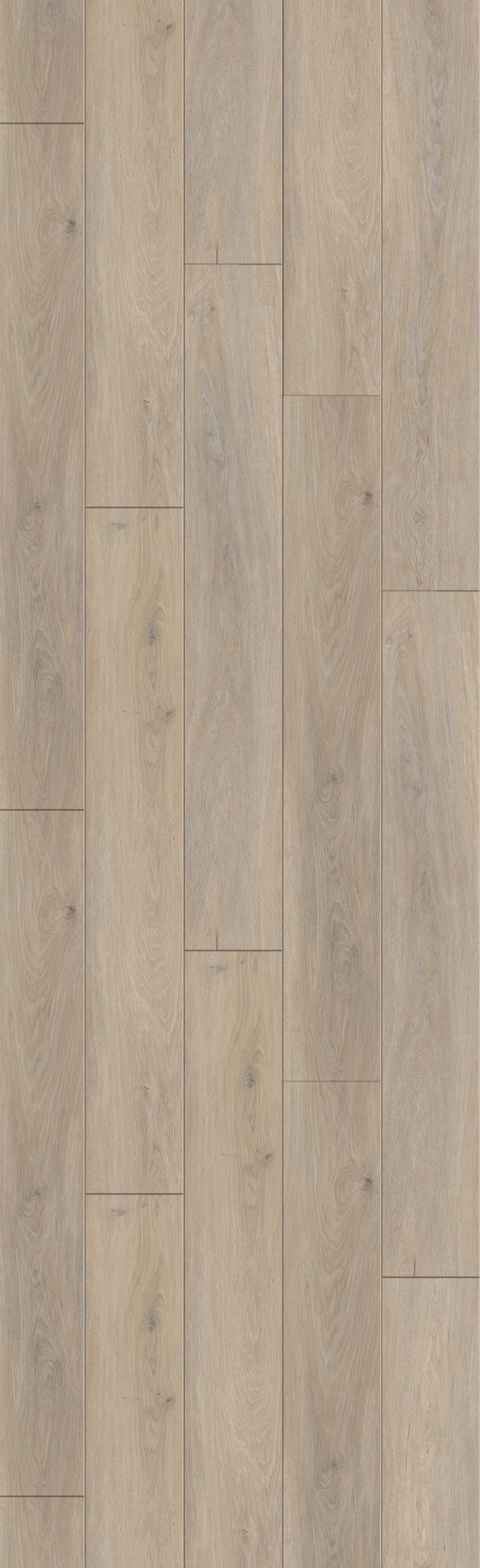 Princess Hazel 60" Rigid Core RELM8103 Waterproof Rigid Core - The Meadows Collection