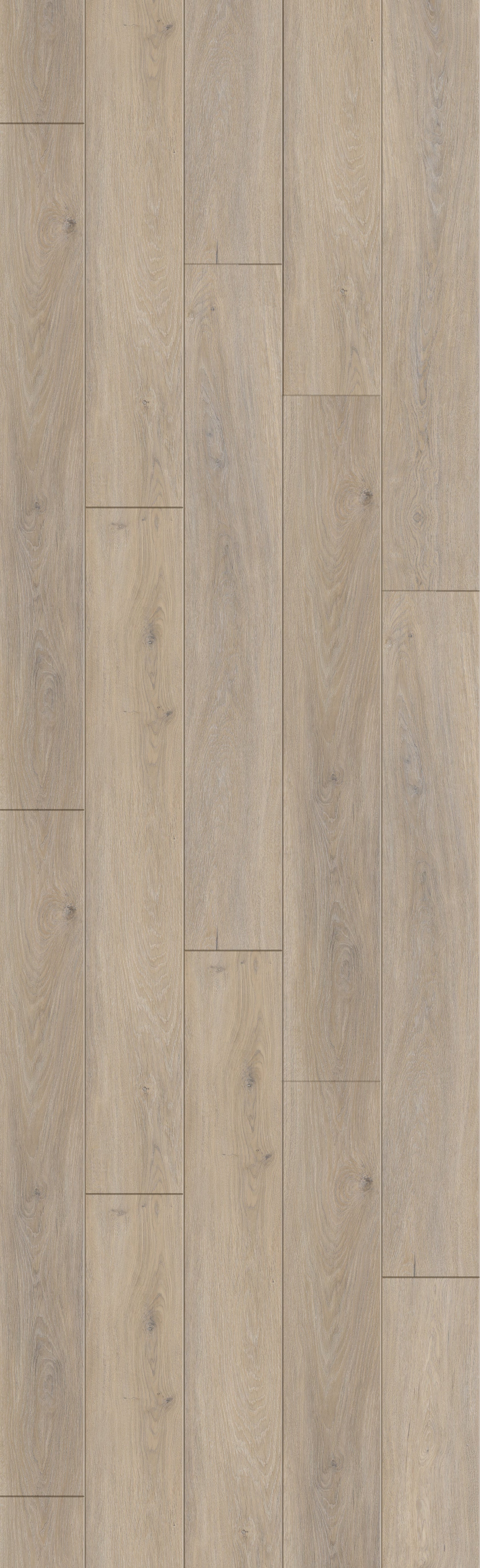 Princess Hazel 60" Rigid Core RELM8103 Waterproof Rigid Core - The Meadows Collection