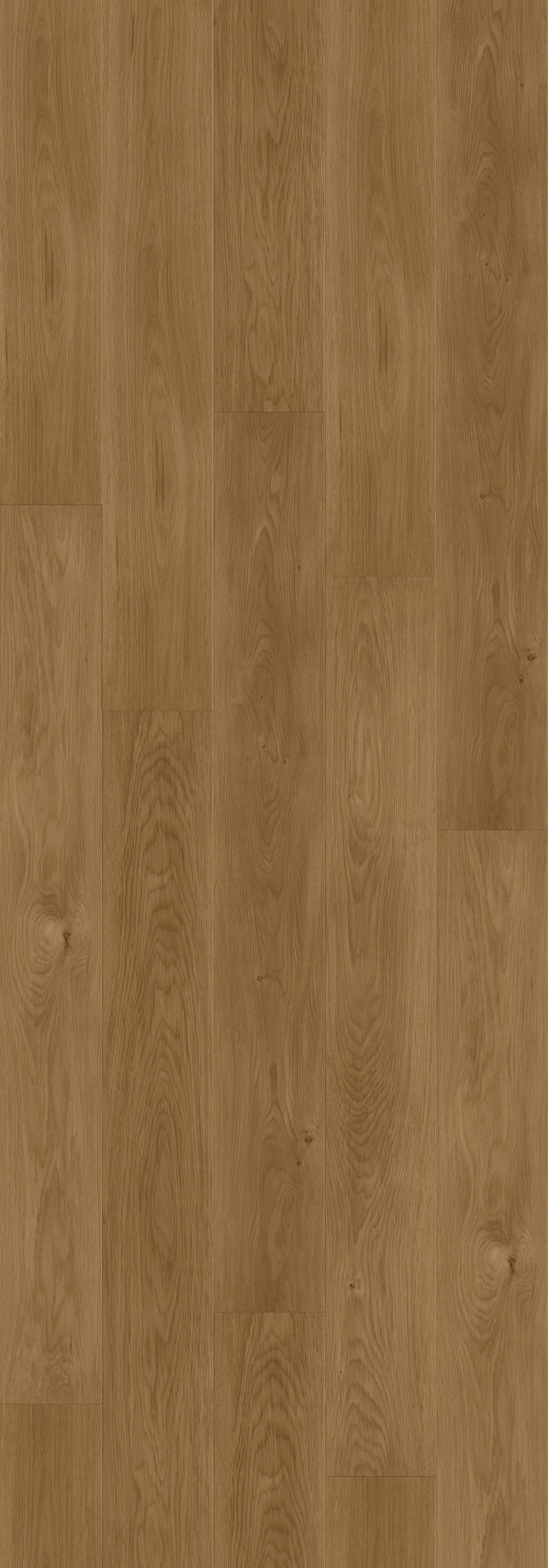 Rainforest Brown Rigid Core RENW7003 Waterproof Rigid Core - North Wather Collection