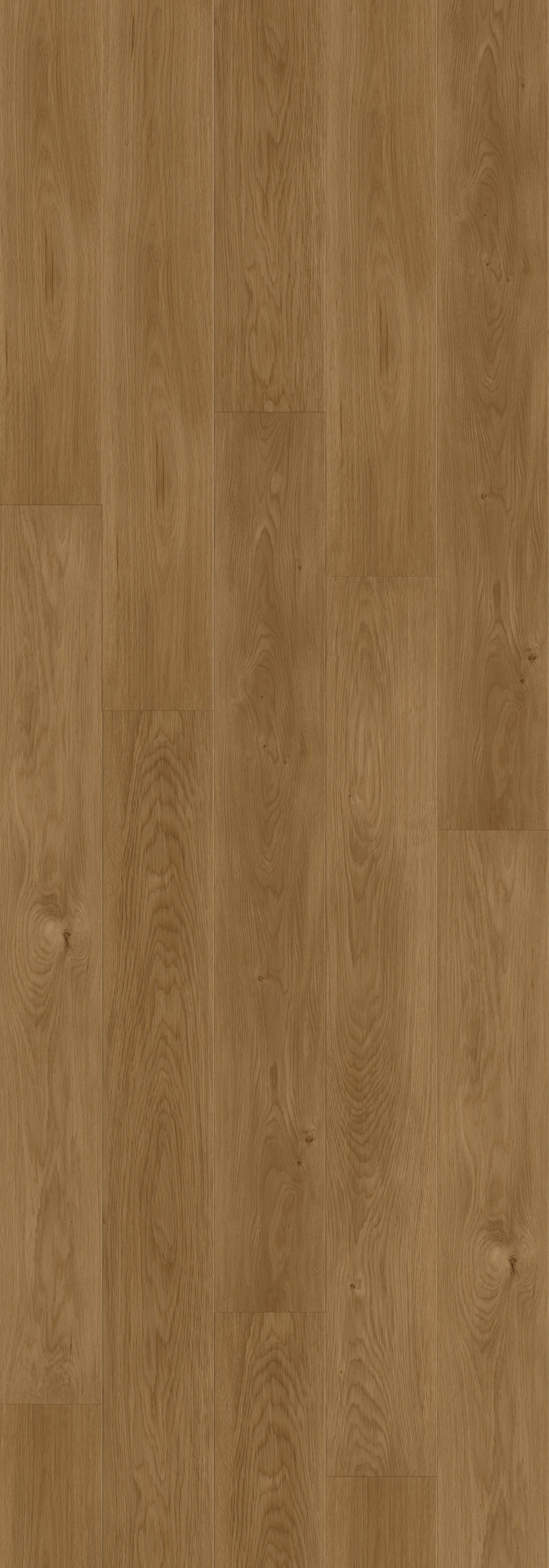 Rainforest Brown Rigid Core RENW7003 Waterproof Rigid Core - North Wather Collection