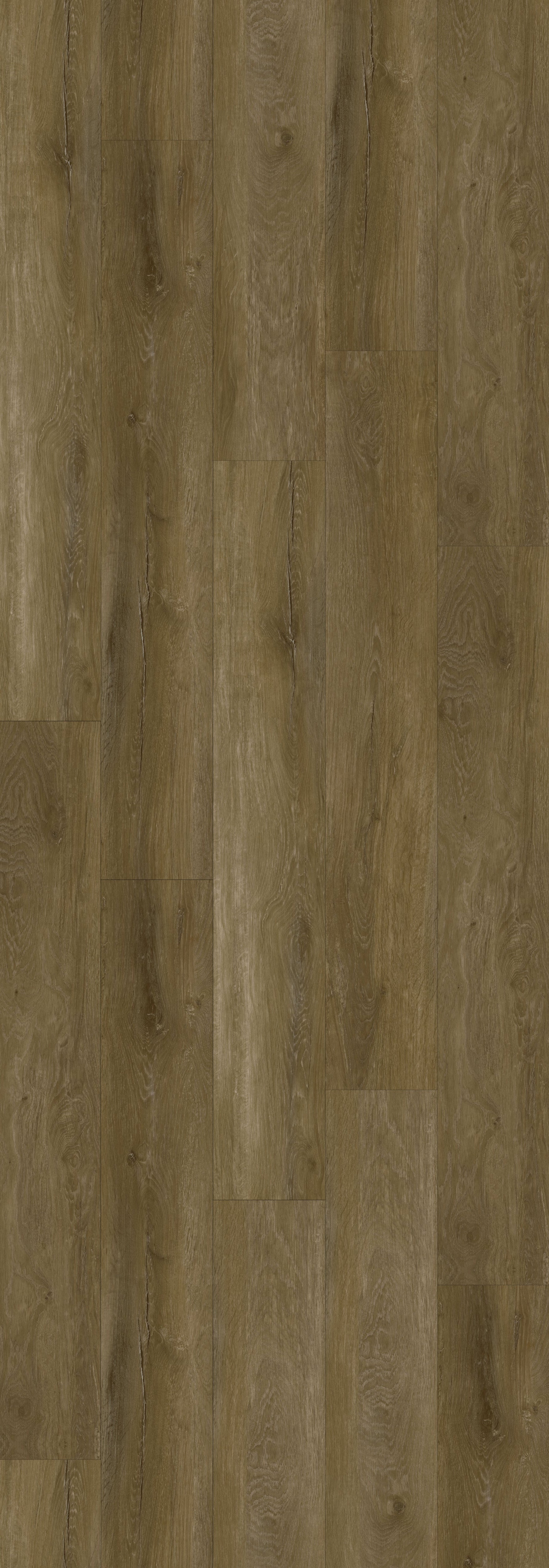 Virginia Mist Rigid Core REGVE5206 Waterproof Rigid Core - The Glacier Point Collection
