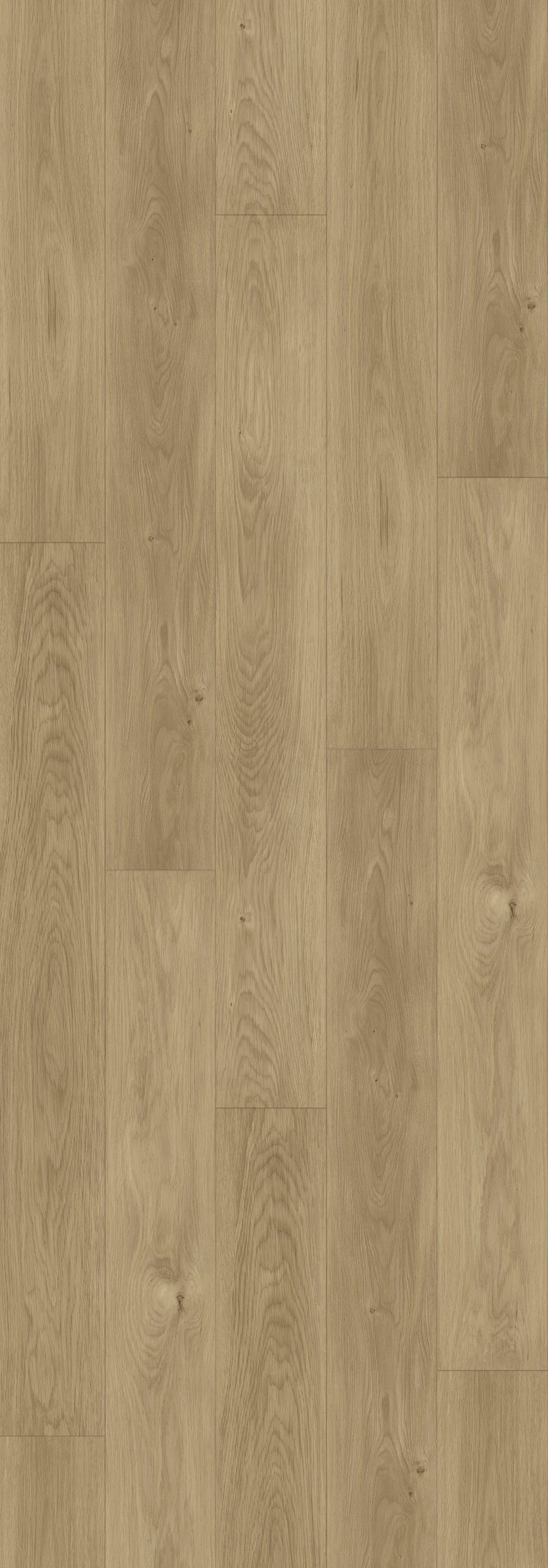 Desert Taupe Rigid Core RENW7001 Waterproof Rigid Core - North Wather Collection