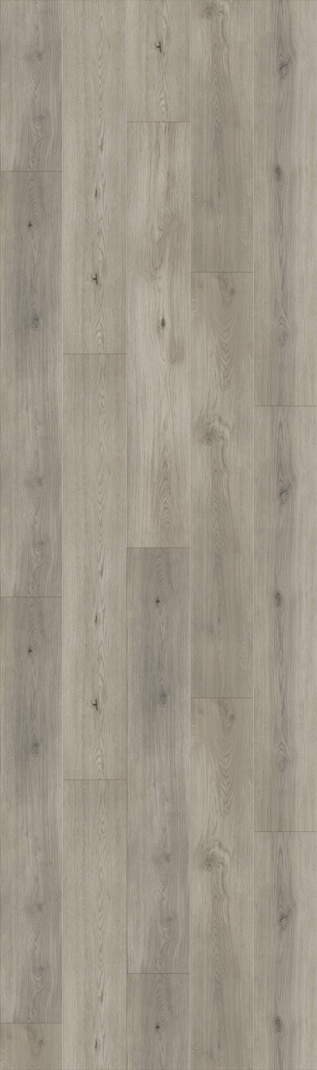 Georgia Gray Rigid Core REWR8608 Waterproof Rigid Core - White River Collection