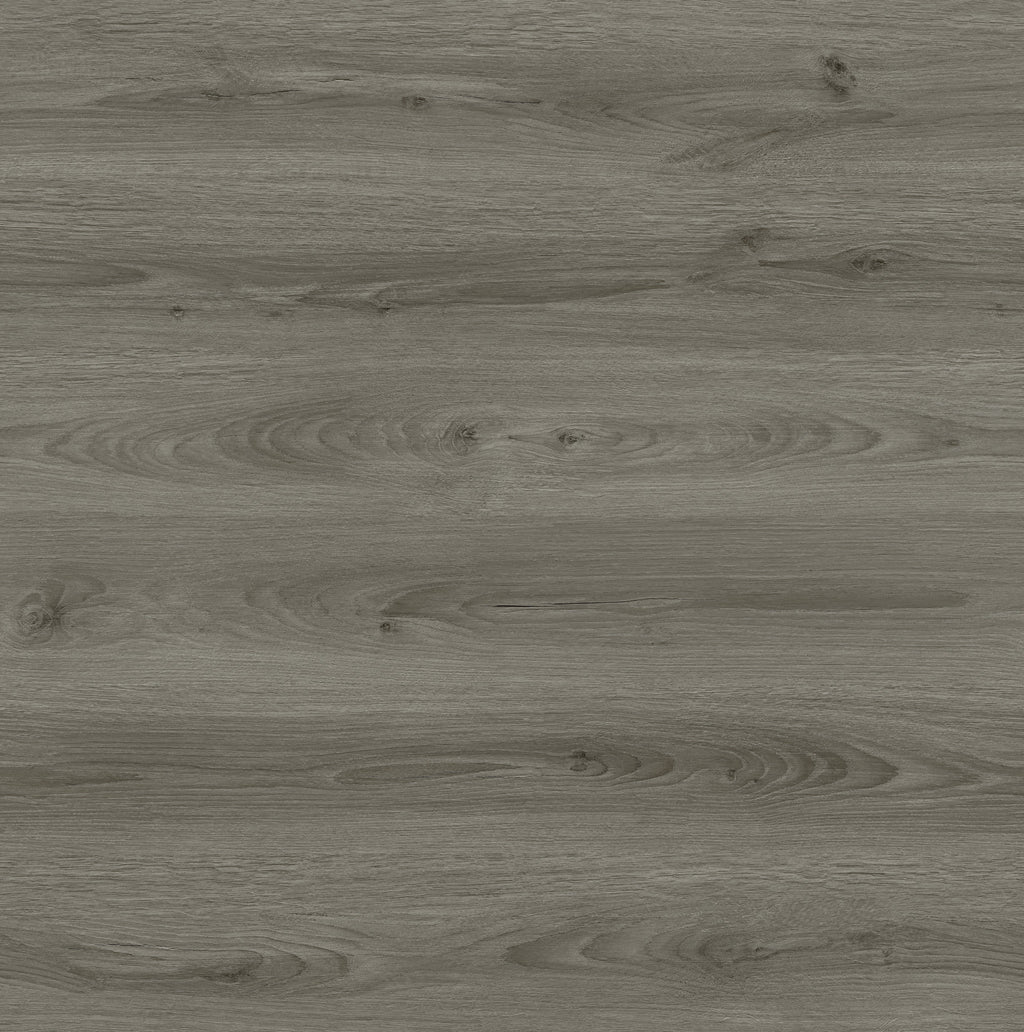 Ash Grey 7.67" Laminate REMI7070 Laminate - Wood Max Malta Island Collection