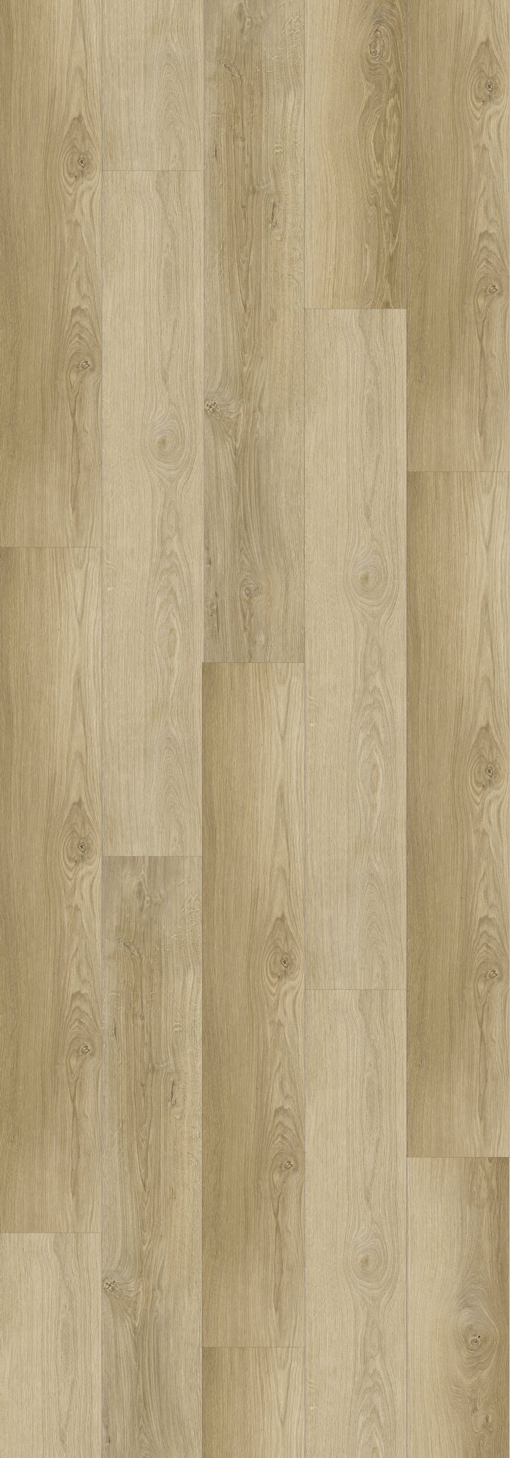 Isabel Rigid Core REED2001 Waterproof Rigid Core - Sierra Collection