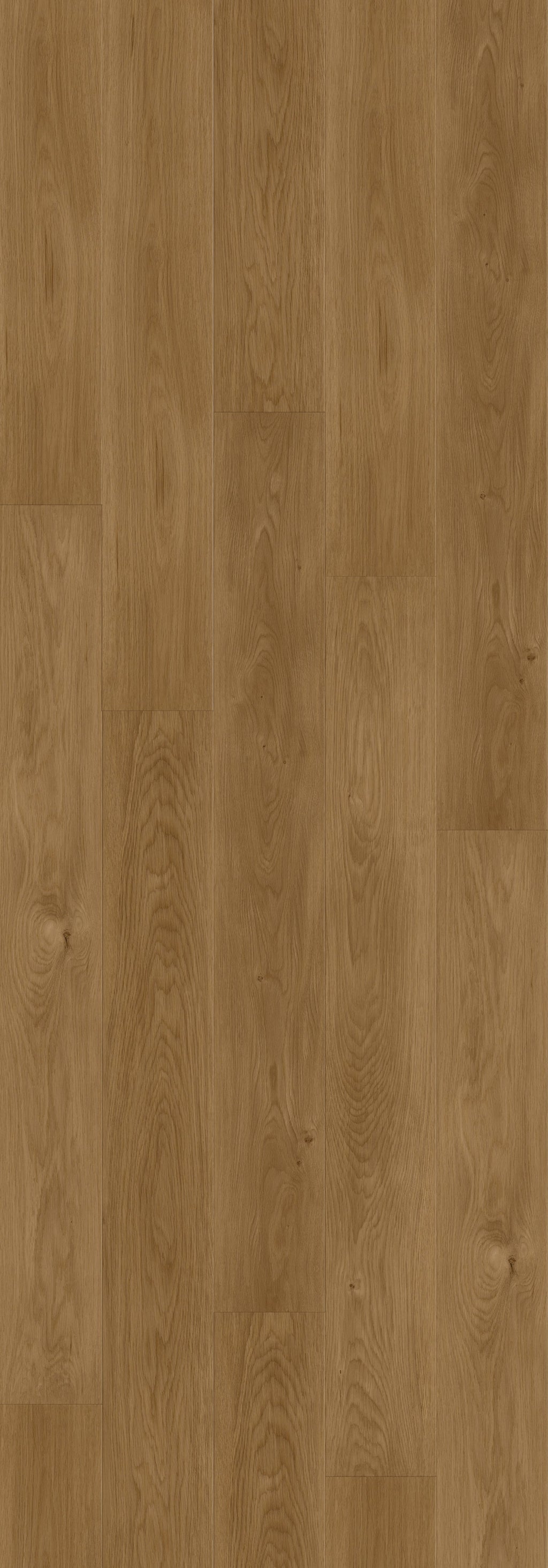 Rainforest Brown Rigid Core RENW7003 Waterproof Rigid Core - North Wather Collection