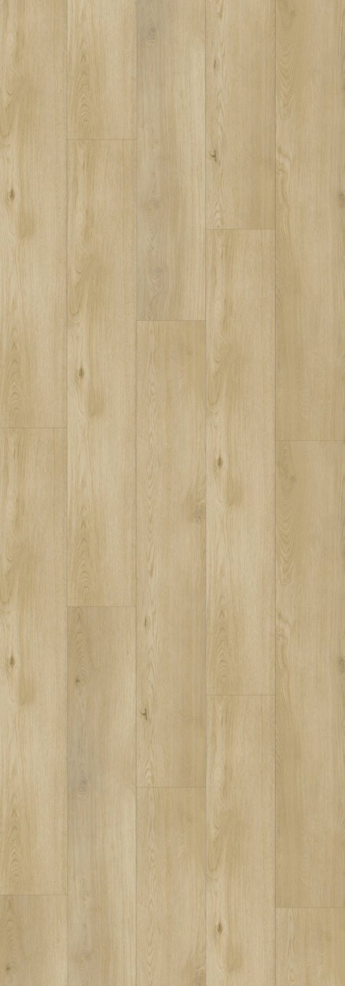 Boggs Rigid Core REED2002 Waterproof Rigid Core - Sierra Collection